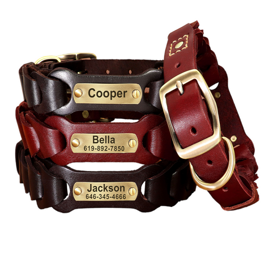 Braided Leather Dog Collar