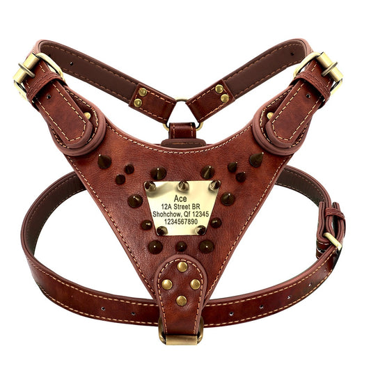 Personalized Spiked Dog Harness