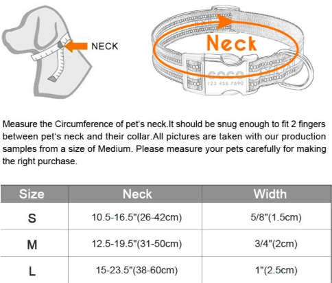 2-in-1 Pet Collar & ID Tag