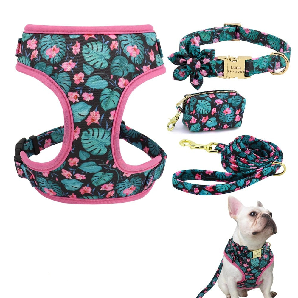 4-in-1 Dog Harness Ensemble
