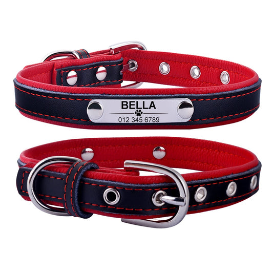 Personalized Two-Toned Dog Collar