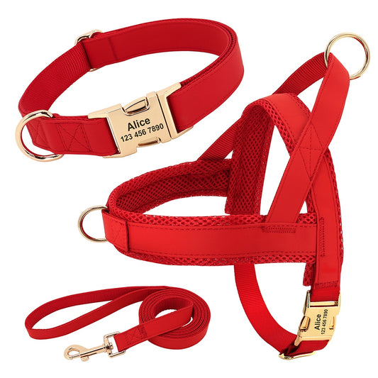 Personalized Dog Harness Triad Set
